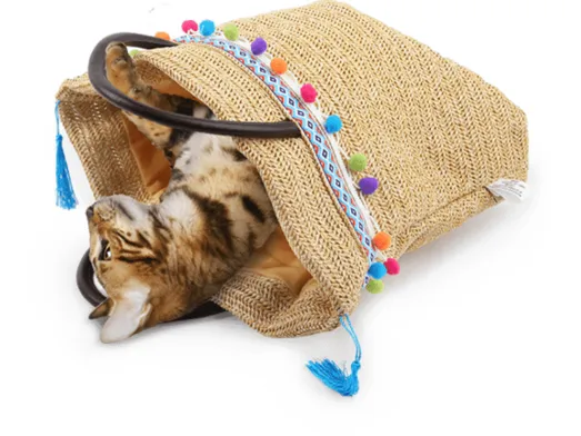 AFP Whisker Fiasta - Cat Crinkle Sack