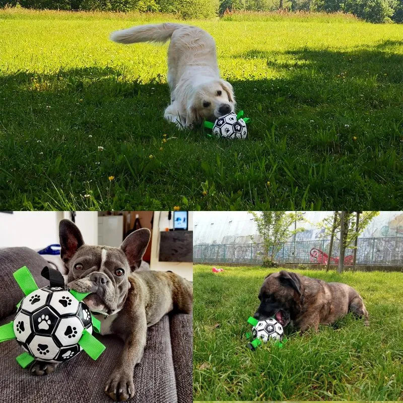 Best Dog Toys Interactive Football Toys Outdoor Training Soccer Chew Toy