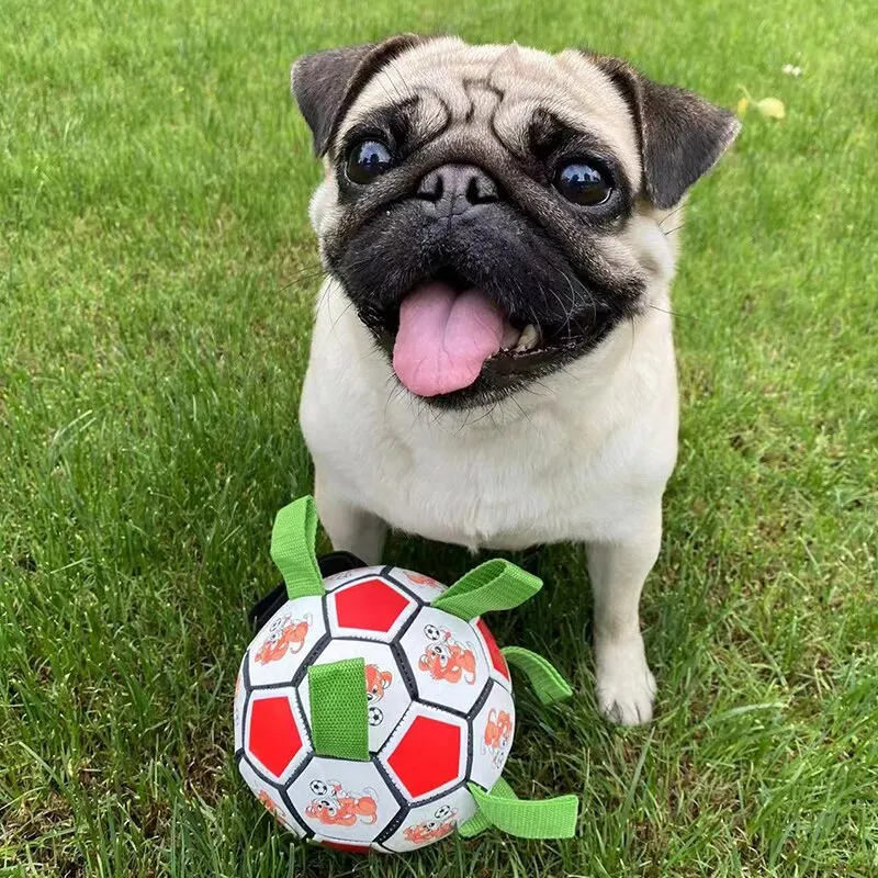 Best Dog Toys Interactive Football Toys Outdoor Training Soccer Chew Toy