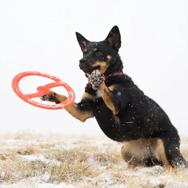 BIONIC Toss-N-Tug