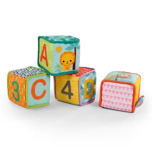 Bright Starts - Grab & Stack Blocks