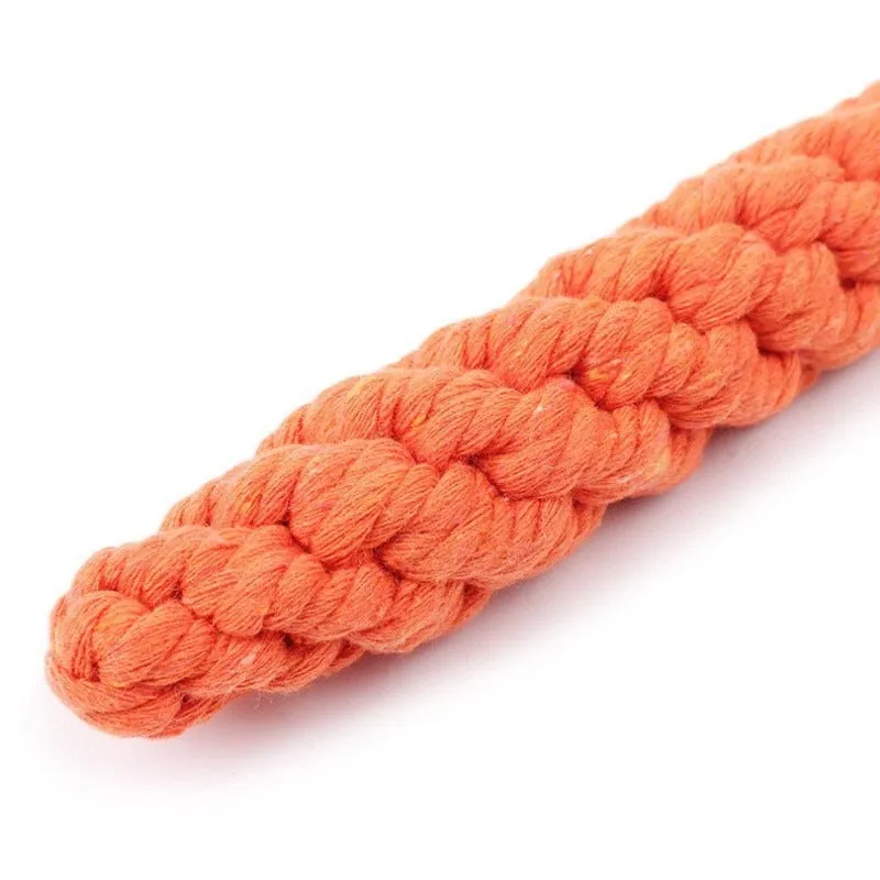 Carrot Rope Toy