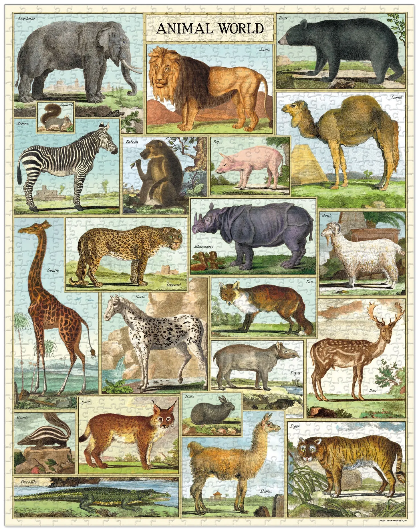 Cavallini & Co. Animal World 1000 Piece Puzzle