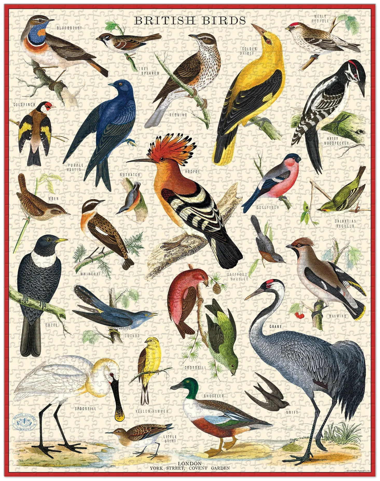 Cavallini & Co. British Birds 1000 Piece Puzzle