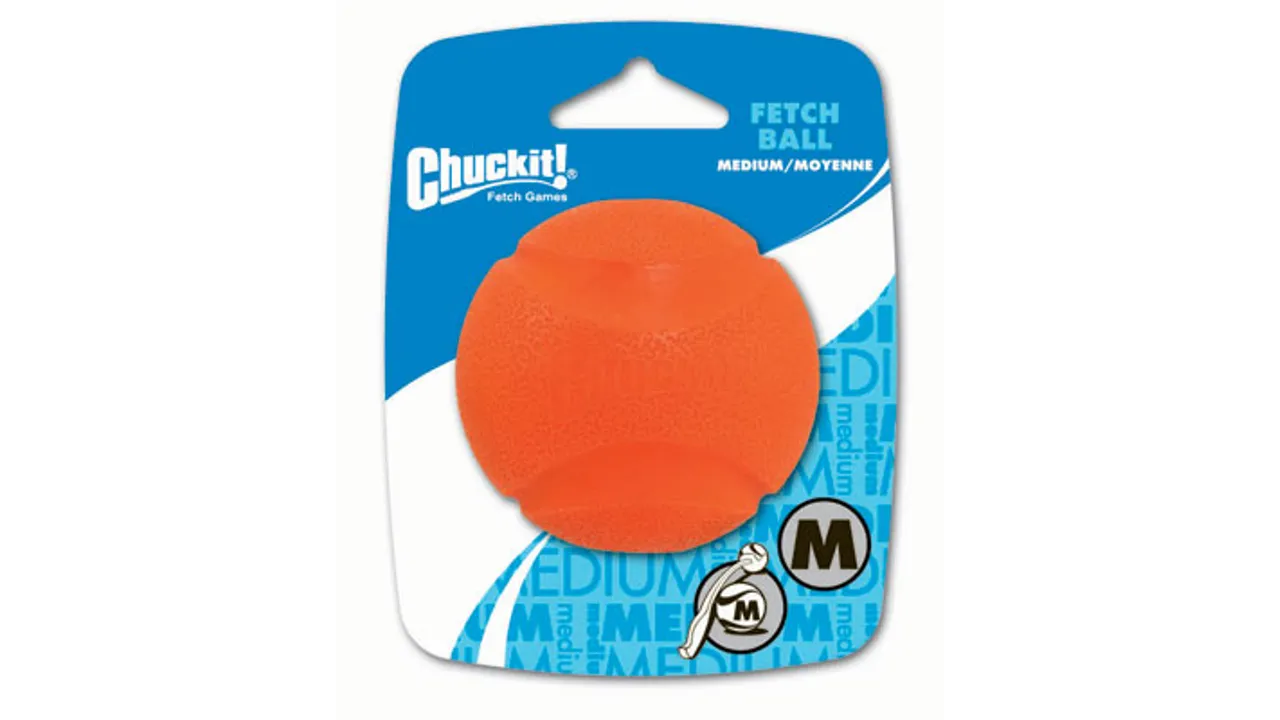 ChuckIt! Fetch Ball Medium