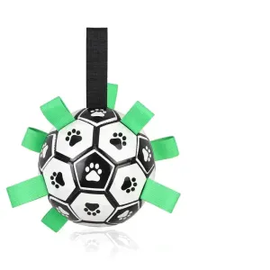 Dog Soccer Ball