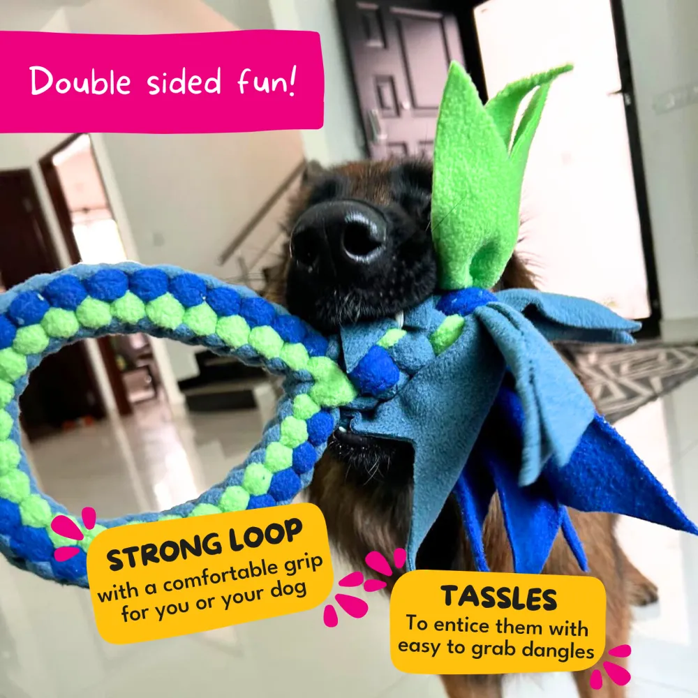 For The Love Of Dog Tug O Loop Toy for Dogs (Pink/Green/Blue)