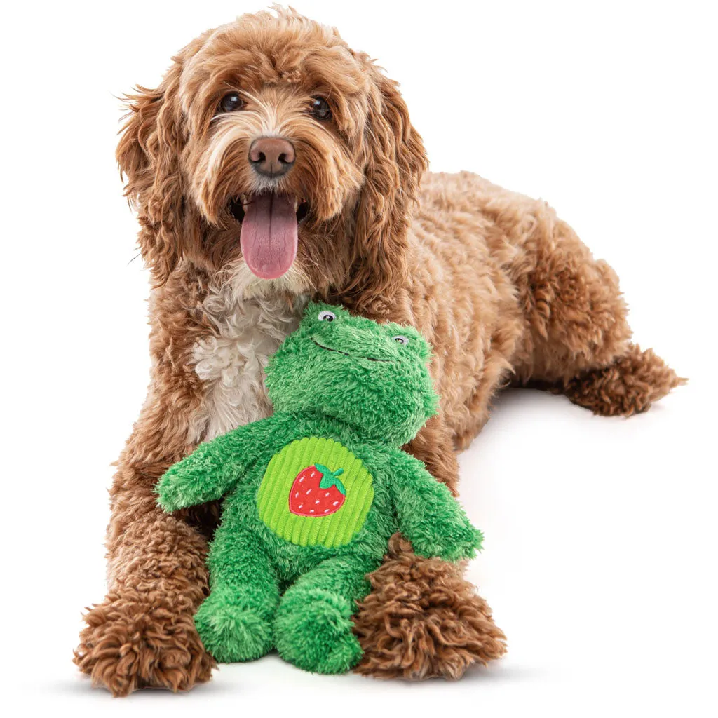 GURU Soft Scents Plush Dog Toy Frog, Medium