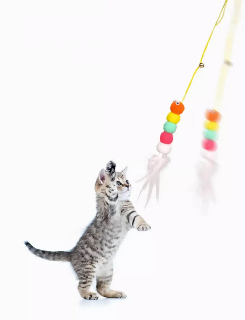 Hanging Door Cat Toys Self-Play Cat Teaser