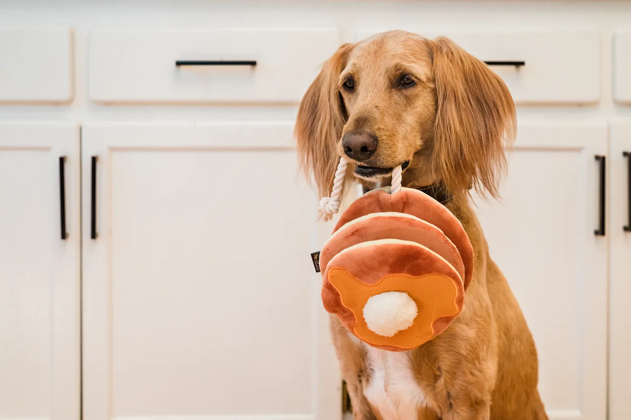 IHOP x P.L.A.Y. Squeaky Plush Dog toys, Pancake Pup Stack