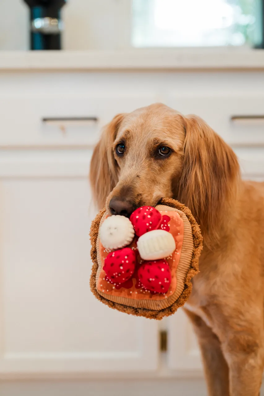 IHOP x P.L.A.Y. Squeaky Plush Dog toys, Thick 'N Fluffy French Toast