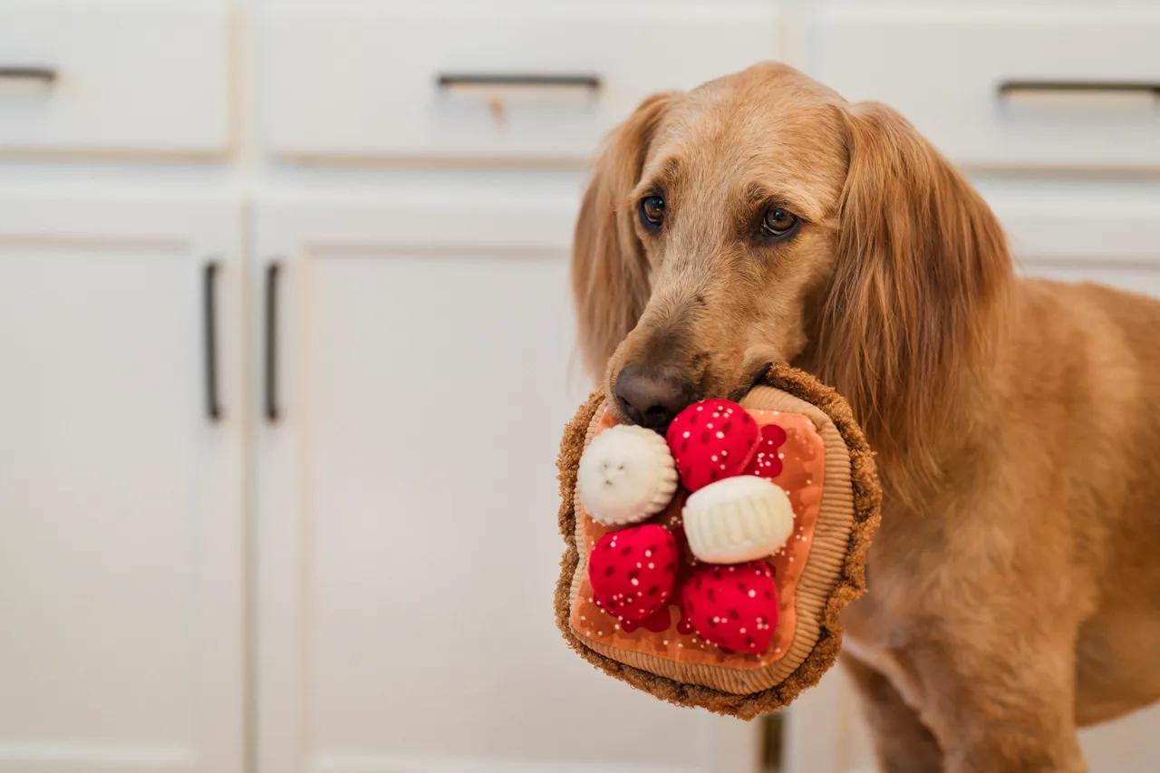 IHOP x P.L.A.Y. Squeaky Plush Dog toys, Thick 'N Fluffy French Toast