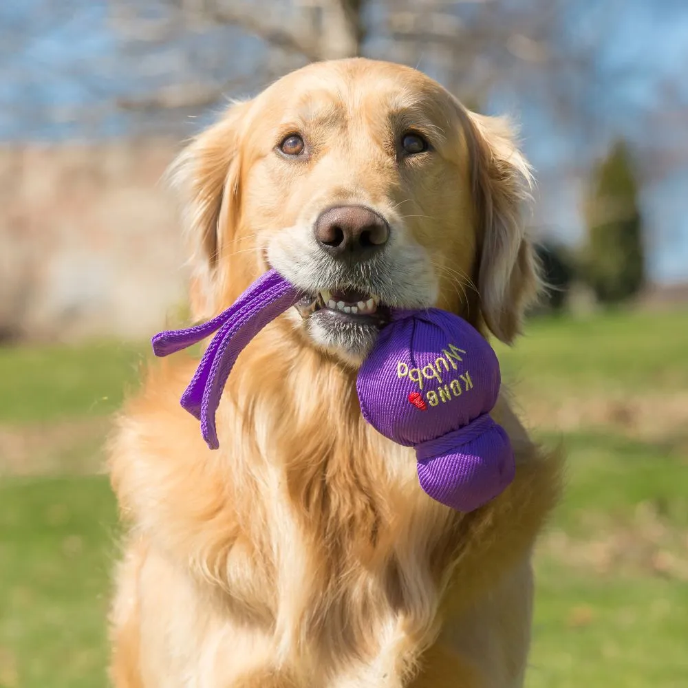 Kong - Classic Wubba Dog Toy