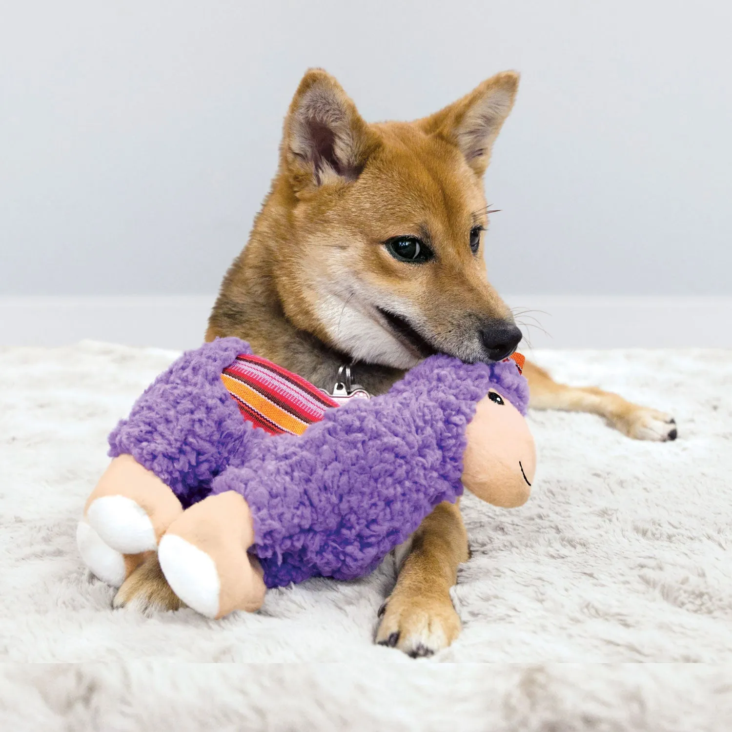 Kong Sherps Llama Dog Toy