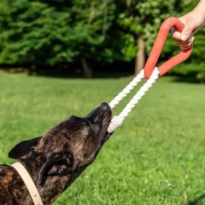 Large Triangular Pull Handle & Bite-Resistant Cotton Rope Pull Ring Funny Interactive Pet Dog Chew Toys