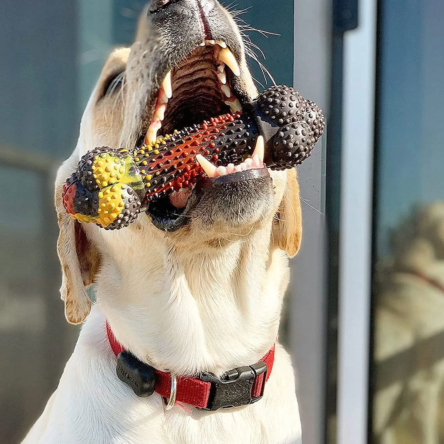 Nylabone Flavor Frenzy Strong Chew