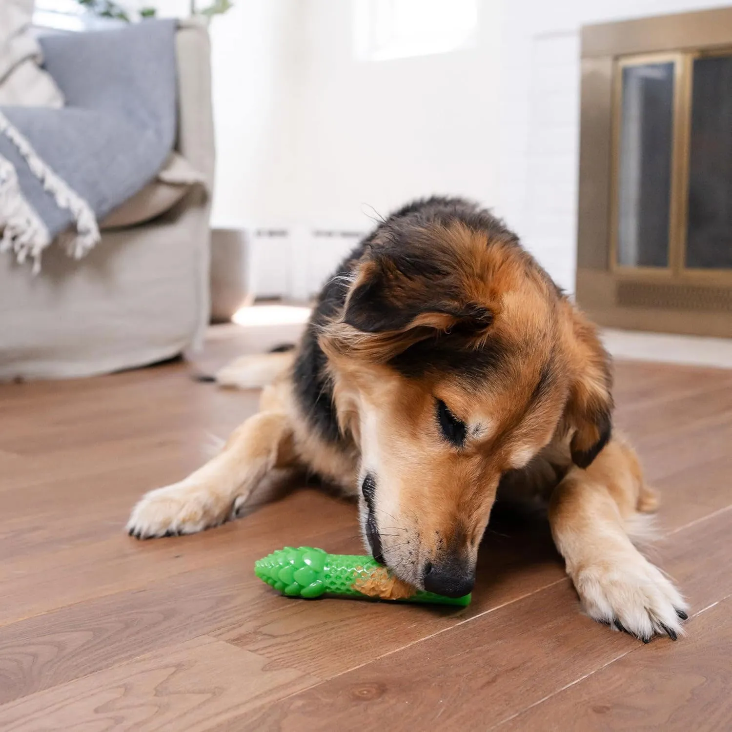 Outward Hound Asparagus