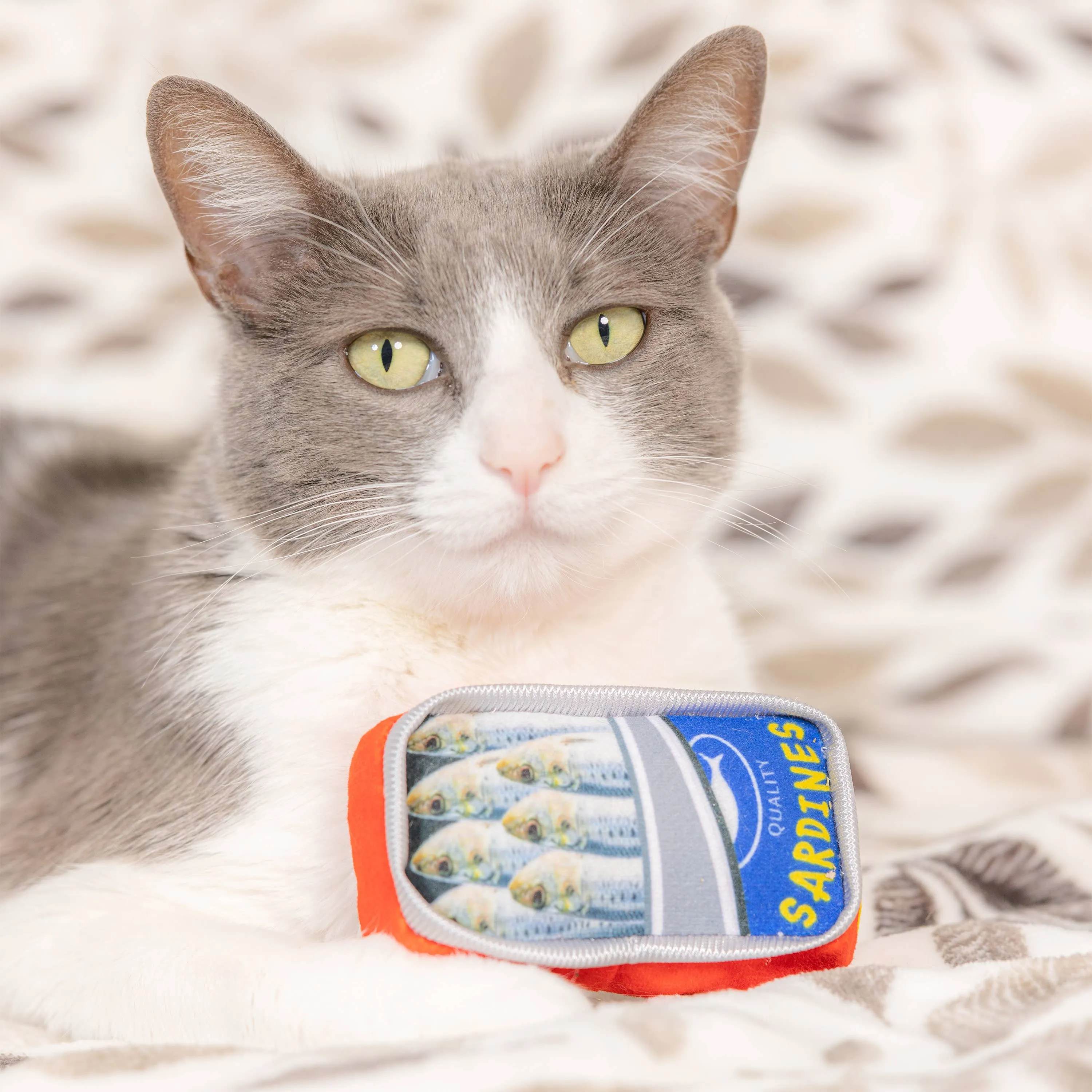 Sardine Tin Plush Toy For Cats