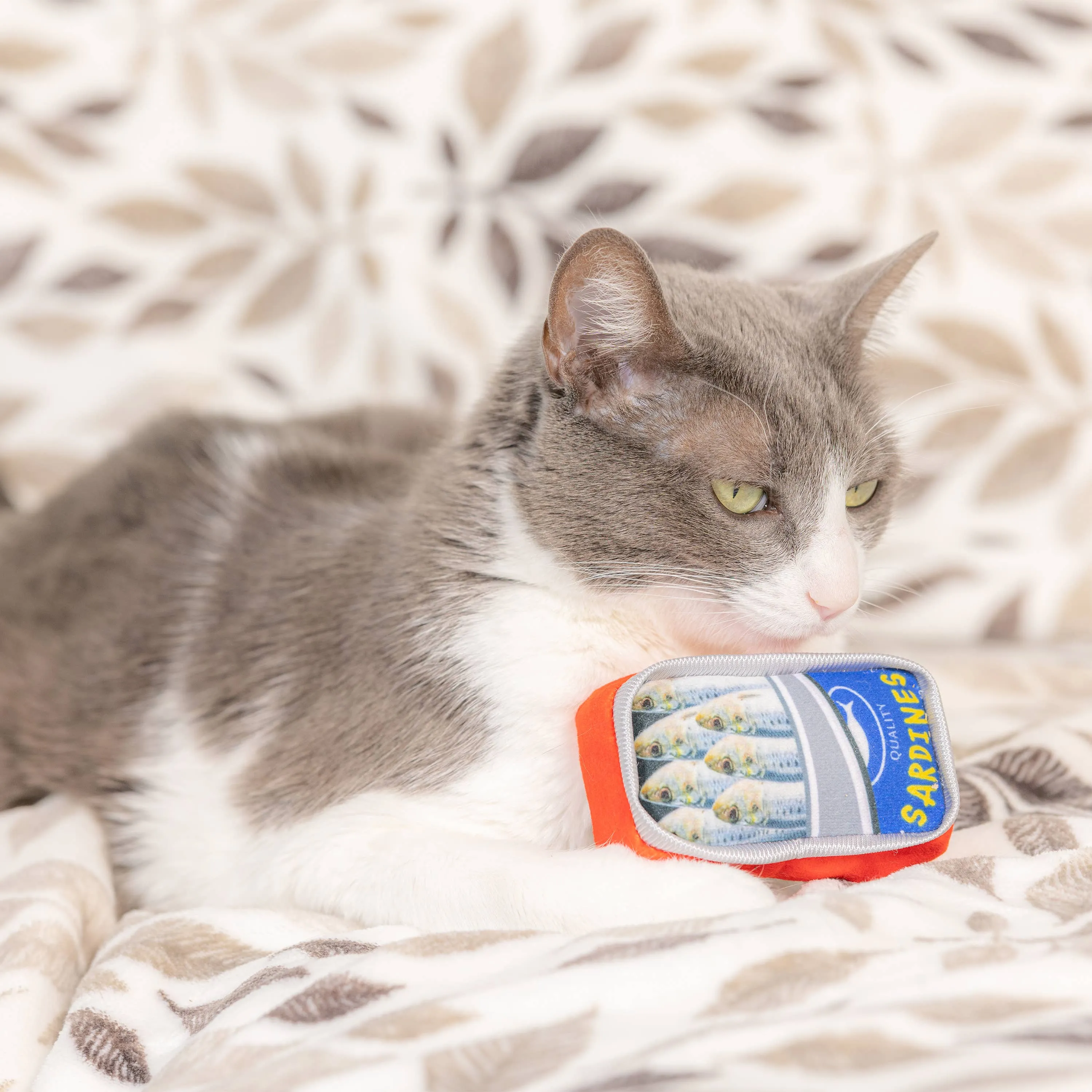 Sardine Tin Plush Toy For Cats