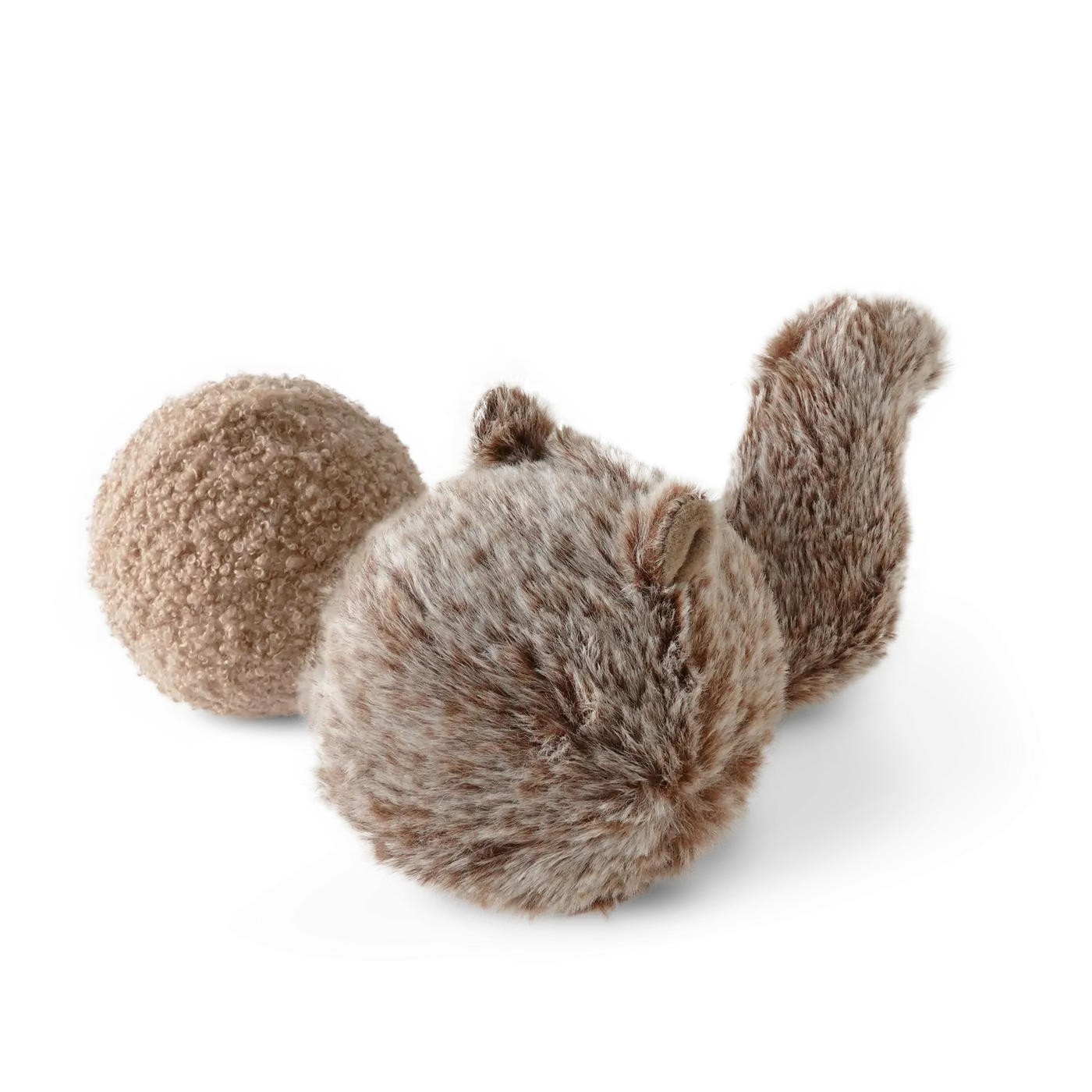 squirrel pop toy