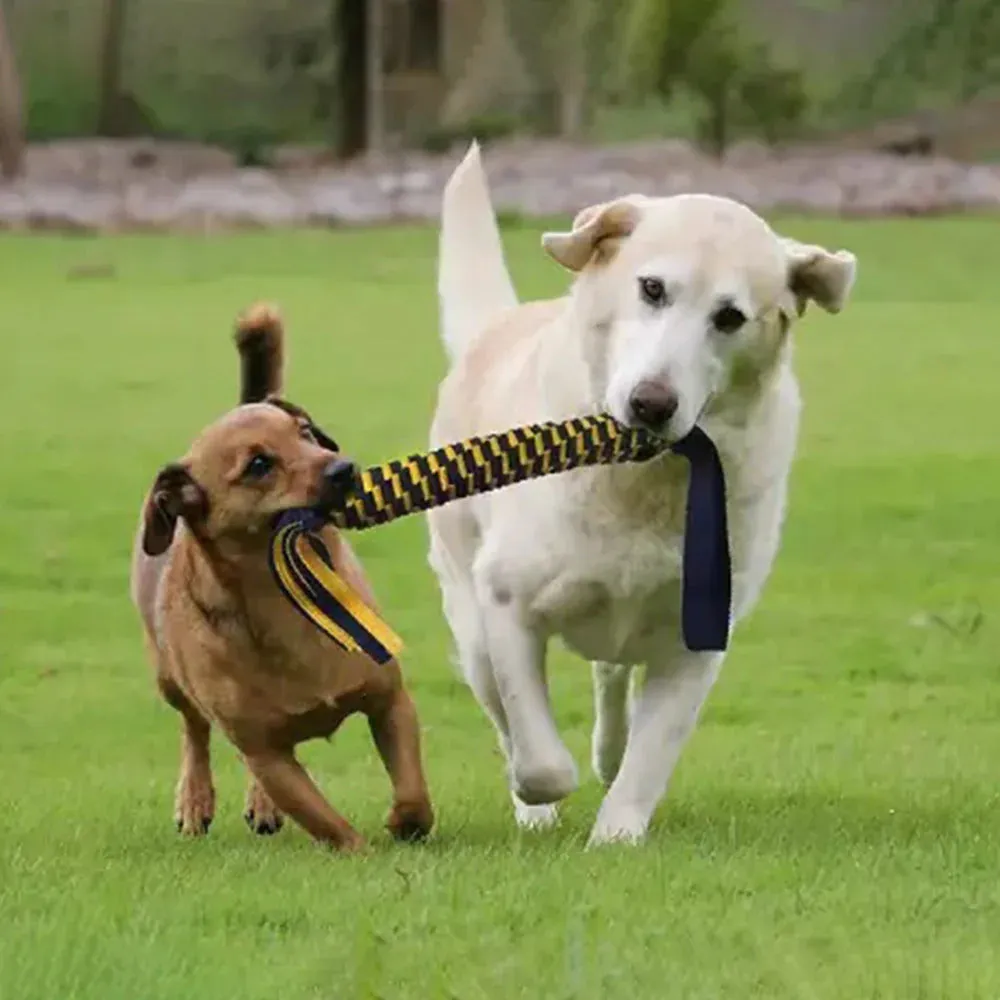 Twisted Chews Spring Tug